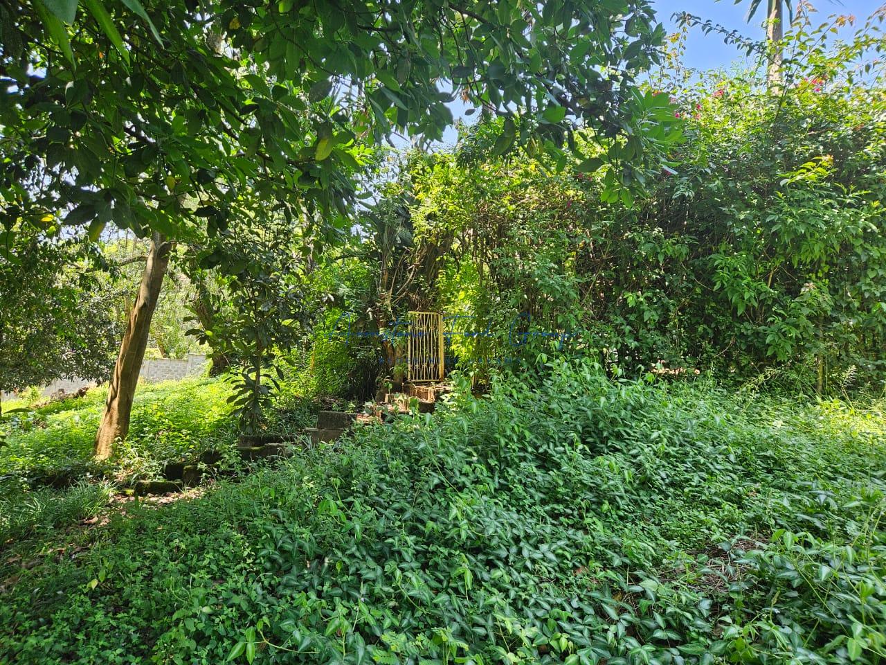 Prime One-Acre Property with a 6-Bedroom House in Muthaiga