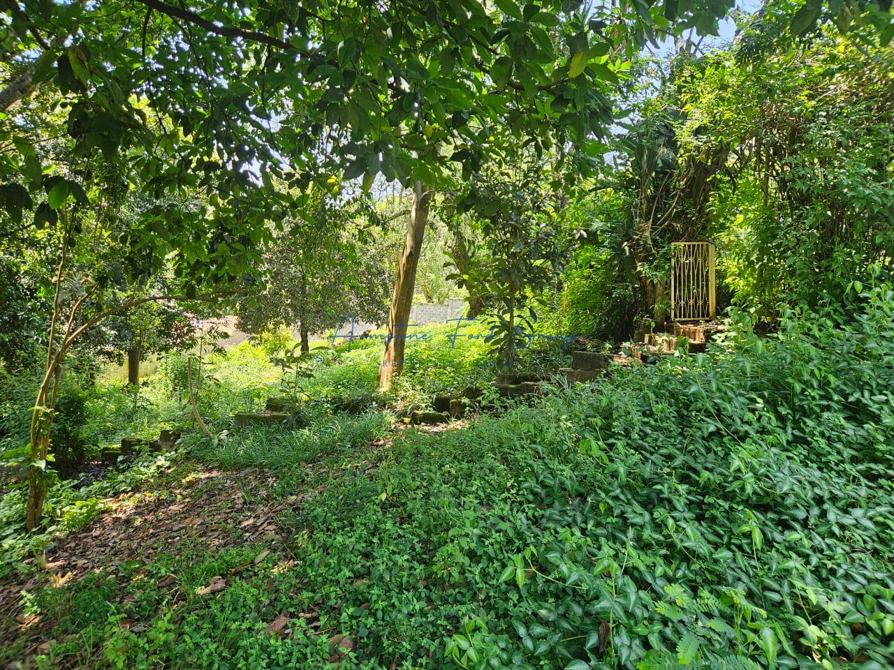 Prime One-Acre Property with a 6-Bedroom House in Muthaiga