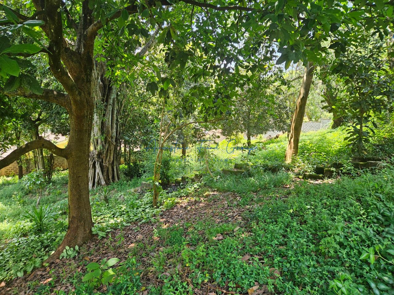 Prime One-Acre Property with a 6-Bedroom House in Muthaiga