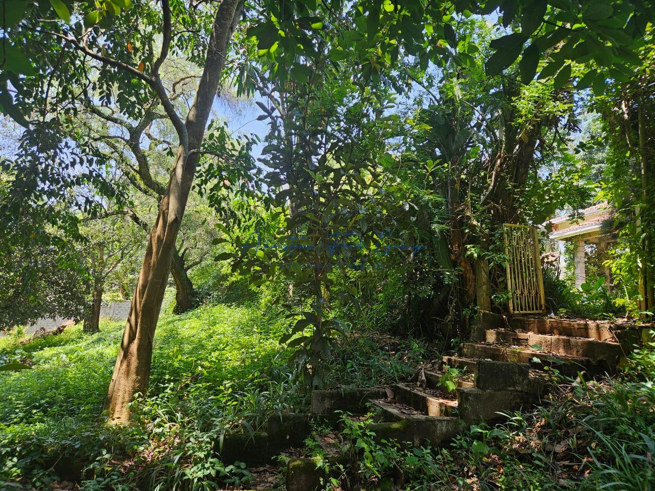 Prime One-Acre Property with a 6-Bedroom House in Muthaiga