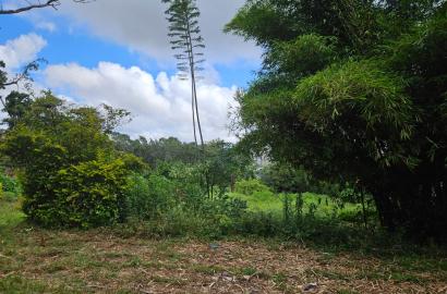 A 1.375-acre prime mixed use property along Riara Road Nairob.